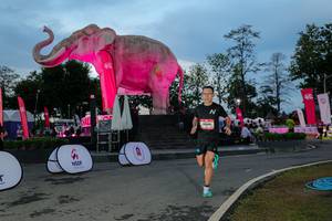 BIB: 
                            <button type="button" onclick="openModal(26529653)" class="btn btn-primary btn-sm float-right btn-popup" data-toggle="modal" data-target=".modal-high-quality">
                        <i class="fas fa-shopping-cart"></i> Add to Cart
                    </button>
                                            <button type="button" onclick="isThisMe(26529653, true)" class="btn btn-success btn-sm float-right btn-popup btn-isme hidden" data-toggle="tooltip" data-placement="bottom" title="นี่คือรูปของคุณใช่ไหม คลิกที่นี่เพื่อเอาเข้าอัลบั้ม">
                        <i class="fas fa-plus"></i> Add to album
                    </button>
                    <button type="button" onclick="isThisMe(26529653, false)" class="btn btn-warning btn-sm float-right btn-popup btn-isnotme hidden">
                        <i class="fas fa-ban"></i> Remove from album
                    </button>